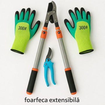 Set grădinărit profesional: Foarfecă extensibilă pentru pomi + Foarfecă de vie + Mănuși de protecție