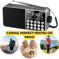 Radio Portabil FM, Cablu USB, microSD, Lanterna LED, Acumulator 18650, Conectivitate Bluetooth, Gri FEROTIB