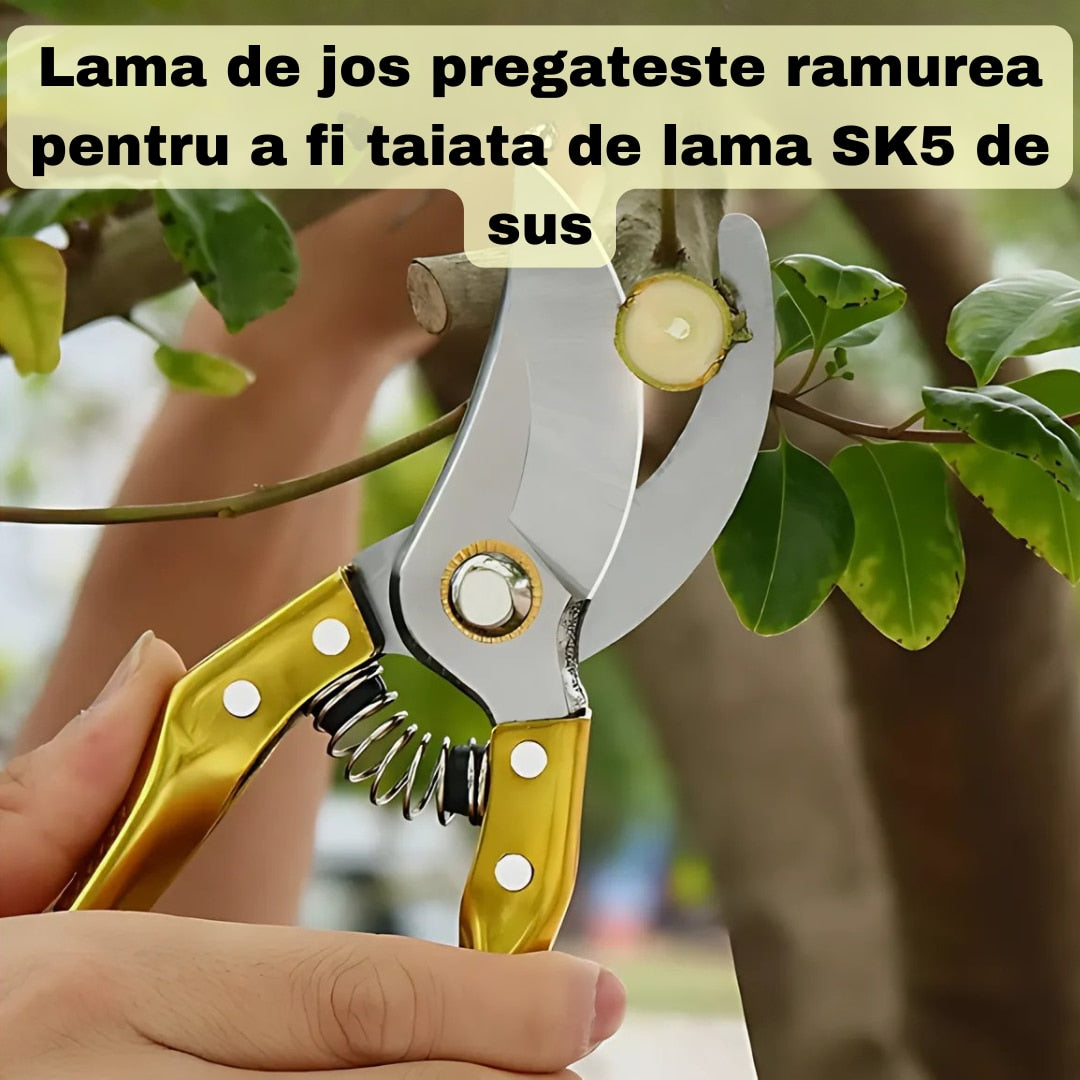 Foarfeca de Gradina Ergonomica, Usoara si Compacta, Ideala pentru Taieri Precise in Gazon, Arbusti si Plante Ornamentale