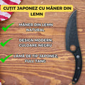 Set 2 Cutite Profesionale Macelarie & Bucatarie, Cutit Japonez Forjat Manual 27.5 cm + Cutit Curbat pentru Dezosat 28 cm, Otel Inoxidabil, Maner Lemn & Plastic, Ergonomice