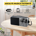 Radio Portabil FM, Cablu USB, microSD, Lanterna LED, Acumulator 18650, Conectivitate Bluetooth, Gri FEROTIB